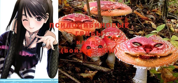 круглые Балахна