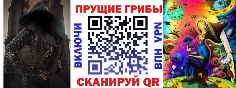 как найти закладки  Бирюсинск  Псилоцибиновые грибы Psilocybe 